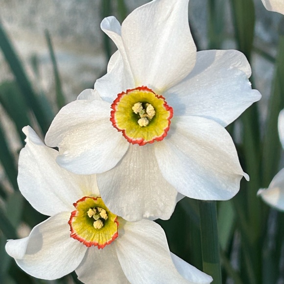 Meet your Posher - Picture 2 of 9